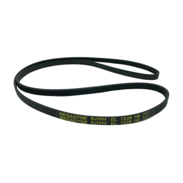 Correa Numero 6PH 1227/1228