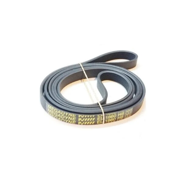 Correa Numero 8PH 1860